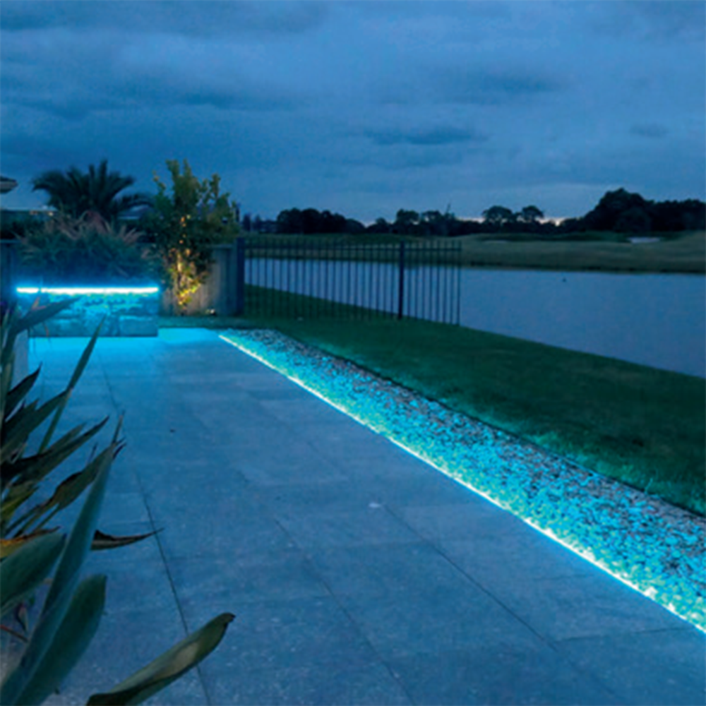 Tira LED IP65 SMD 24V 12W Monocolor