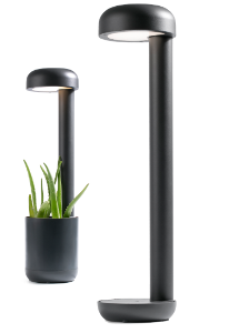 Grow baliza