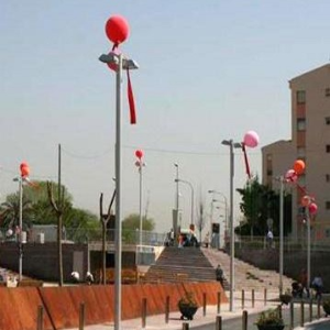 Columna Ctal